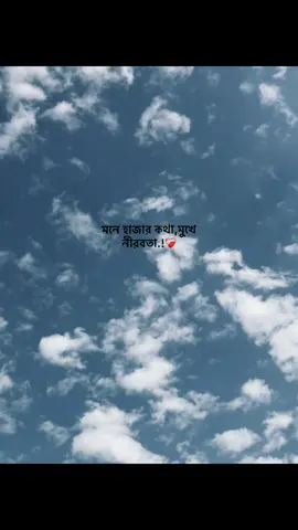 মনে হাজার কথা,মুখে নীরবতা.!❤️‍🩹#taifbhaiyaa #vairal #ypfッ #foryou @Omor Always On Fire @TikTok @TikTok Bangladesh @#foryou 