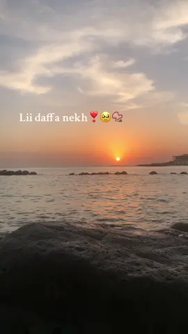 Mélodie 🎵 📿🤍 #talibei_cheikh #tiktoksenegal🇸🇳 