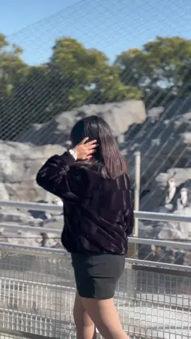 Maya le bolayo hamilai 🤭❤️🍁 @jYARA @Sujata Khanal @ANEETA❤️ #foryoupage #japan🇯🇵 #nepalitiktok #wintervibes #highlight 