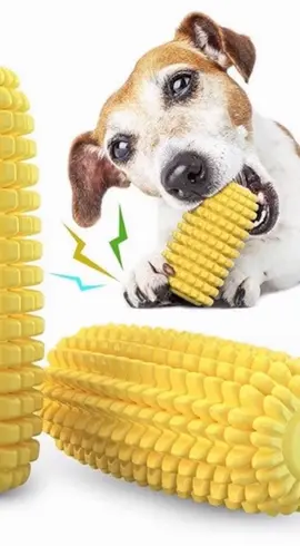 #pet #dog #dogsoftiktok #toy #dogtoy 