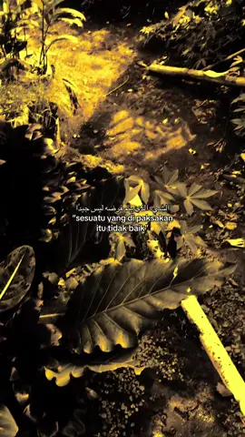 #quotesislami #syaircinta #langitaesthetic #xybza #masukberandamuu 