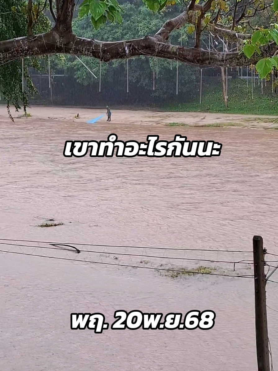 #เทรนด์วันนี้ #ริมคลองฉวาง #คลองฉวางนาสาร #สุราษฎร์ธานี #นาสาร 