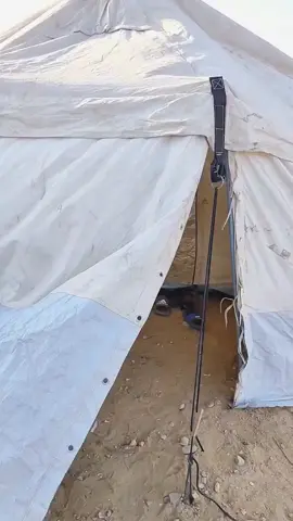 صباح الخير يا غزة