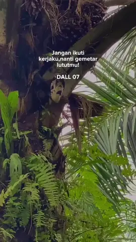 area di larang manja😎#tandanberduri #kulisawitindonesia #fypdong #xybca #petanisawit 