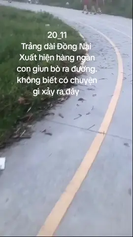 không biết chuyện gì xảy ra đây mọi người  #xuhuongtiktok 