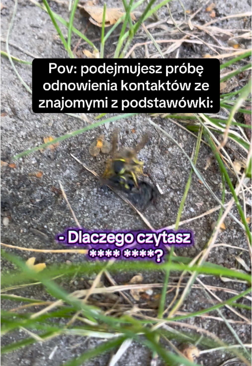 A, oczywiście🙂 #lewica #mem #antifa #feminizm #aktywizm 