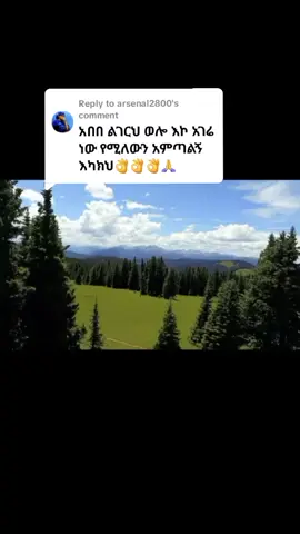 Replying to @arsenal2800 