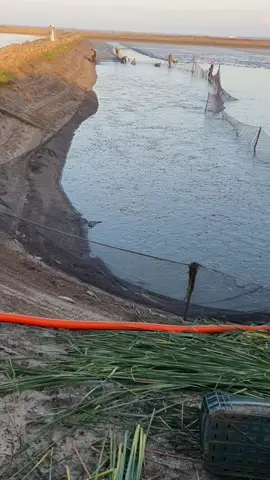 #بكل_فخر_من_إنتاج_الشورى🇪🇬  هنا متعيشوهاش 👑🔥 #الثروه_السمكيه #صيد_السمك #ตามจังหวะ #المتحف_المصري_الكبير 