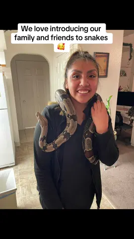 #reptilesoftiktok #fyp #tiktokpartner #animallover 