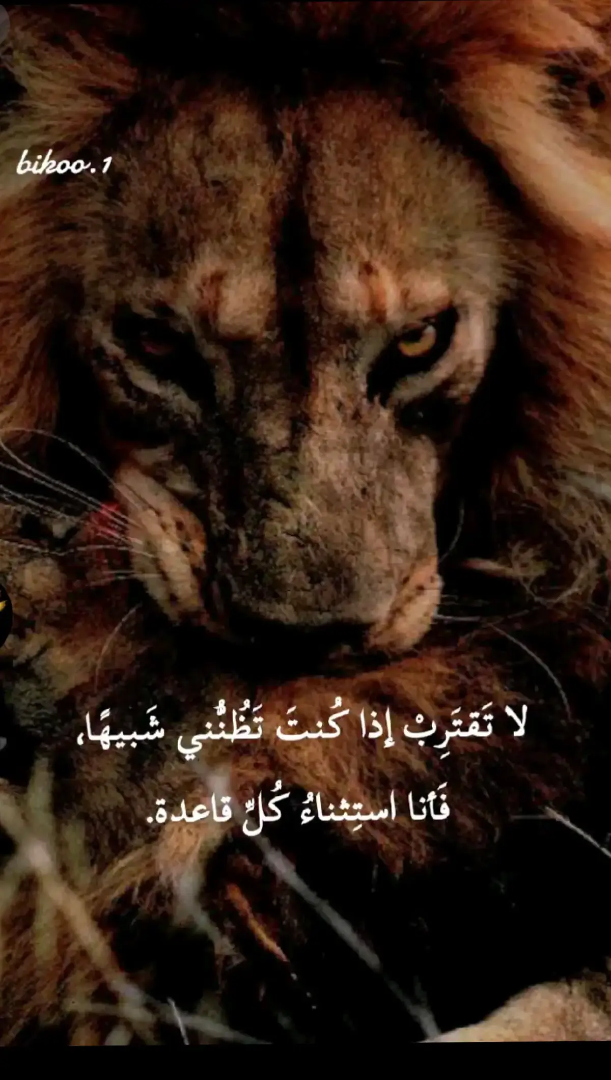 #فولوــــــــــــــــ_متابعه_ــــــــــــــــــــاكسبلور #عبارات_جميلة_وقويه😉🖤 #تصميم_فيديوهات_اقوي #اكسبلورexplore 