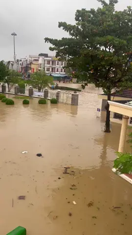 Em nghe video cô Hằng giờ e thấy nổi da gà thật sự…giờ chỉ mong ngừng mưa , mong mọi người vượt qua và bình an #79khanhhoa #mientrung 