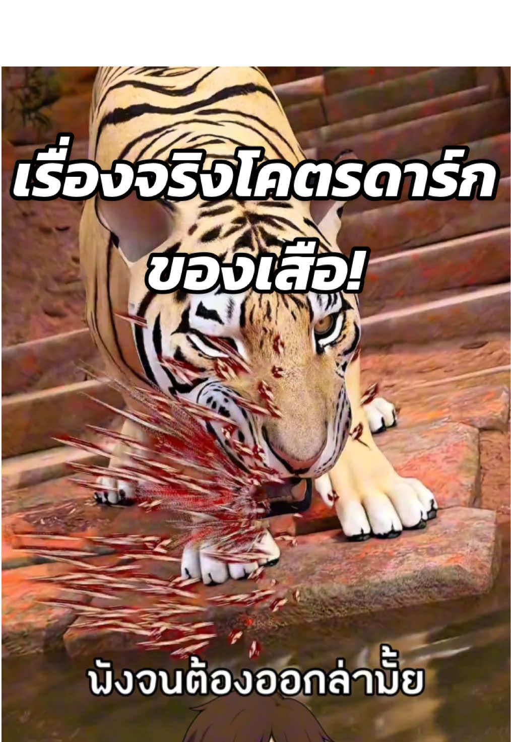 เรื่องจริงโคตรดาร์กของเสือ!🐯 #สาระความรู้ #ความรู้รอบตัว #เรื่องเล่า #เรื่องจริง #ฟีดดดシ  Cr. Zack D Flims