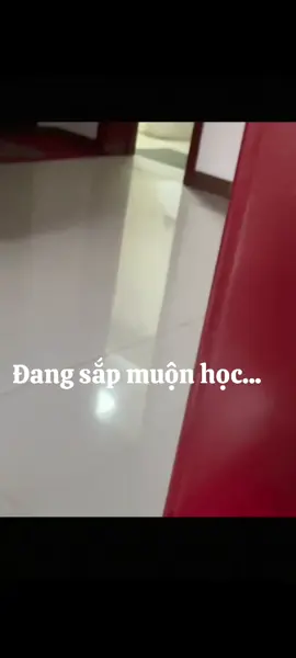 #fyp #viral #funnyvideos #xuhuong #dog 