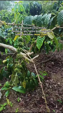 #tipistipisajadulu#rendomkonten🤭 