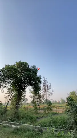 Kash Tumhay mera behma hotay❤️‍🩹🥲 #Part138 #lurey #foryoupage #butwalmuser #flypシ 