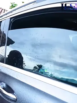 MaasyaAllah bahagia selalu Leslar fams🫶🏻 #leslar #rizkybillar #lestykejora #muhammadlevianalfatihbillar #leshiativanabillar 