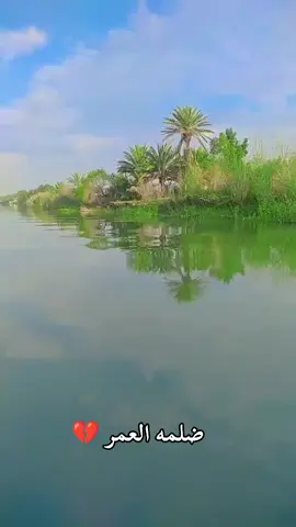 الغيركم مامال گلبي ولا هوا....!🫤❤️‍🩹#رسول_حافظ #تفاعلكم_لايك_متابعه_اكسبلورررر #طششونيي🔫🥺😹💞 