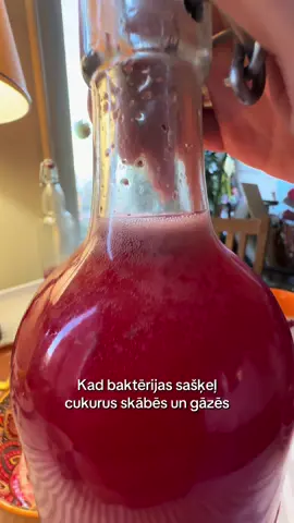 🌿UZGĀZĒTS! Seko aktuālajiem notikumiem www.dabasmakslasskola.com #dabasmakslasskola #fermentēšana #radošādarbnīca #meistarklase #dabiski 