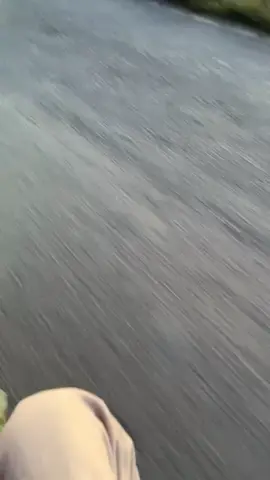 #bugistiktok #bugisfyp #fyp 