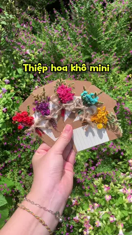 Dễ thương #thiephoakho #thiephoahandmade #thiephoakhomini #khuuthicham 