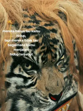 #reogponorogo #singotirto#kawulhokidhulkutho #ponorogo24jam 