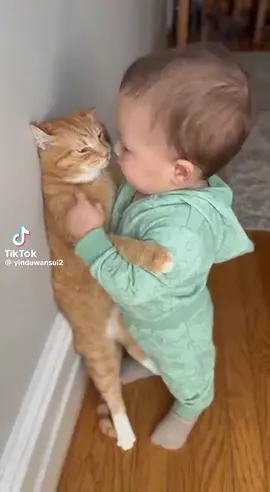 #foryou #viraltiktok #amig #petshop 