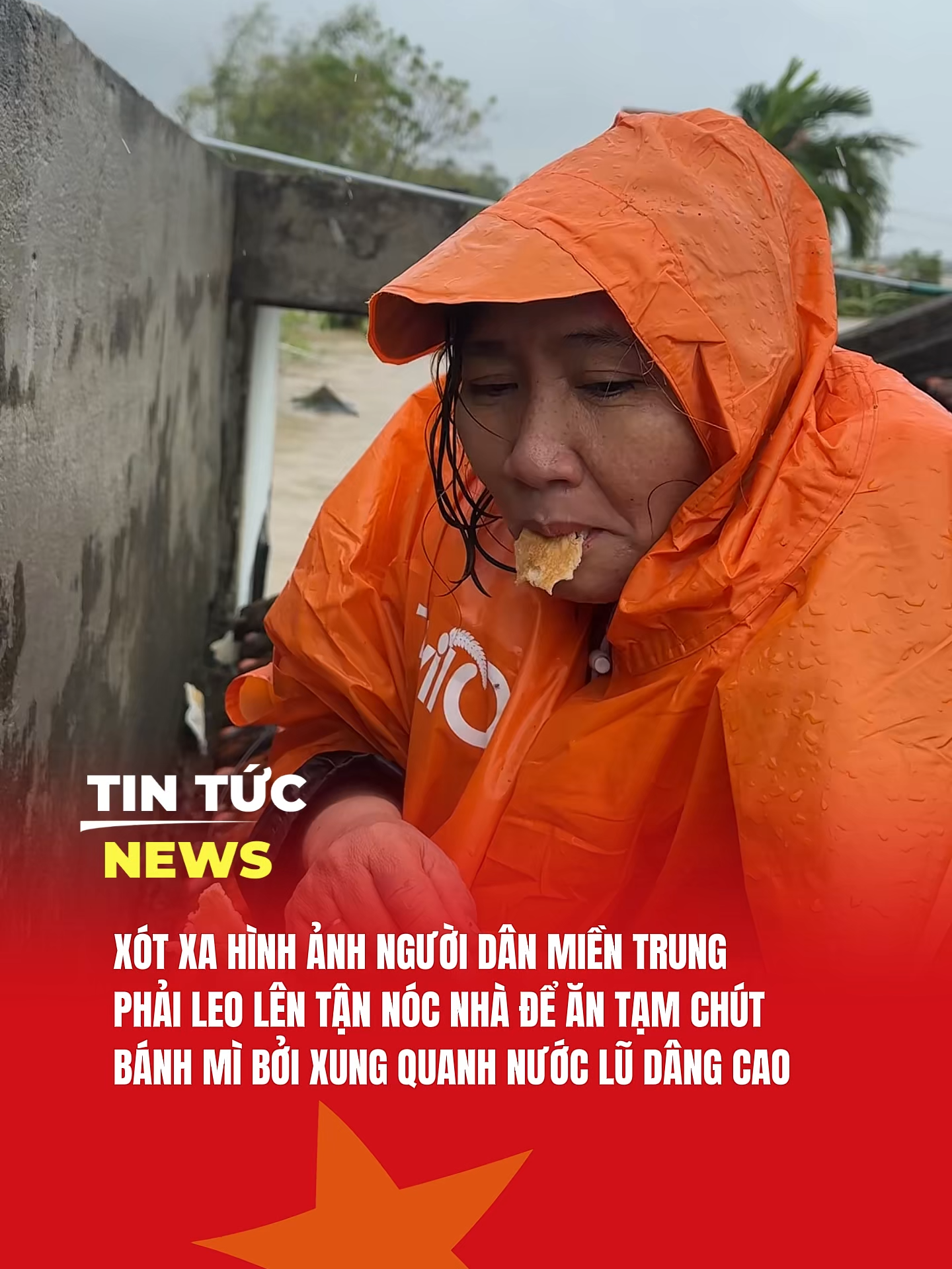 THƯƠNG LẮM BÀ CON MIỀN TRUNG #tintucnewsvn