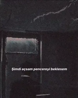 Olmaz ya hani geliversen.....#birşiir #şiir #şiirsokakta #şiirheryerde #şiirler #şiirce #sonbirşiirdahaşair #gelsen #olmazya