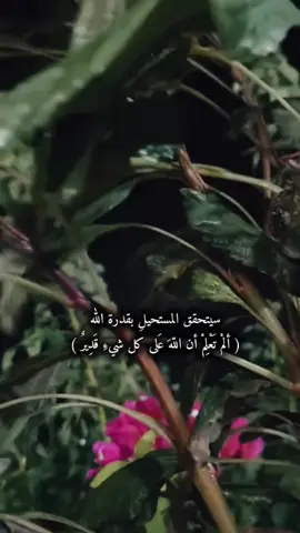 #🤍🤍🤍🤍🤍🤍🤍🤍 #🖤🥀 #يارب 