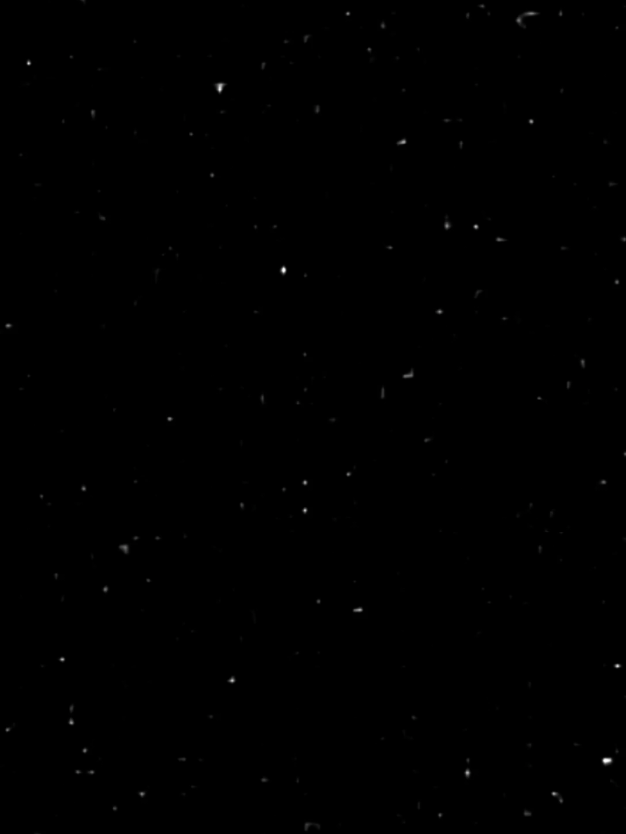 في مثل يقوال ? #قتباسات #عبارات #اكسبلوررررر #fyp 