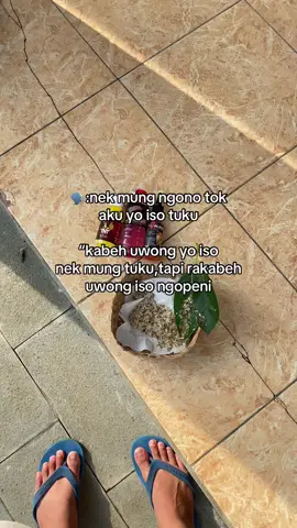 ancen sepelee😜#kicaumaniaindonesia #sogonmaniaindonesia #sogon #sogonmania #wongliongertiopo 