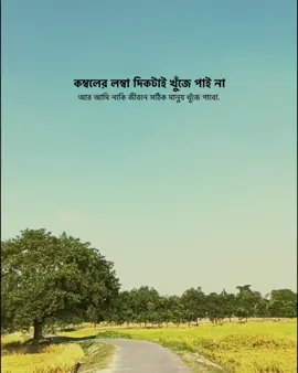 আর আমি নাকি জীবনে সঠিক মানুষ খুঁজে পাবো. @TikTok @TikTok Bangladesh #notebookwriteronfire #trending #100kviews #unfreezemyacount #Foryou 