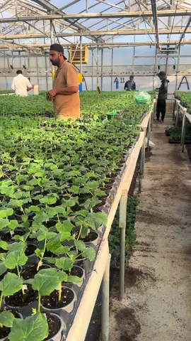 Hồng Trần chỉ là cõi tạm, nên hãy đối xử với nhau tốt một chút #xuhuongtiktok2025 #tranthuy #xkldhylap #cuocsongchauau 