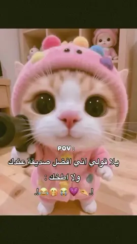 #منشن @ #الشعب_الصيني_ماله_حل😂😂 