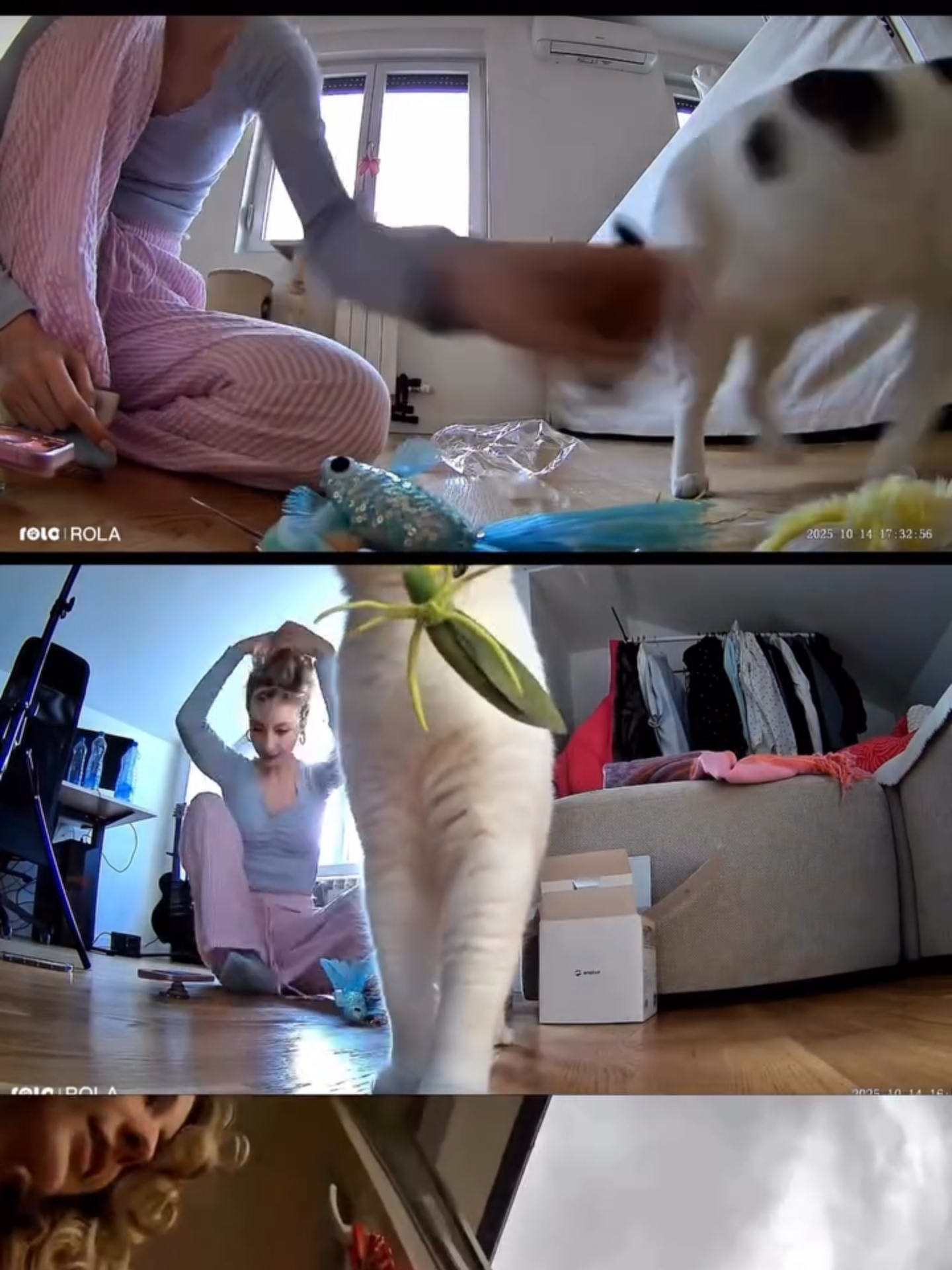 Morning chaos, afternoon munchies, evening zoomies… ROLA Mini really said: “I’m your cat’s personal videographer today.” 🎥🐾 Black Friday deals are live — treat your little star✨ Link in bio! 🎥🥰 Thanks for the adorable clips, @vanjajagnic！ #Enabot #EnabotROLAMini #BlackFriday