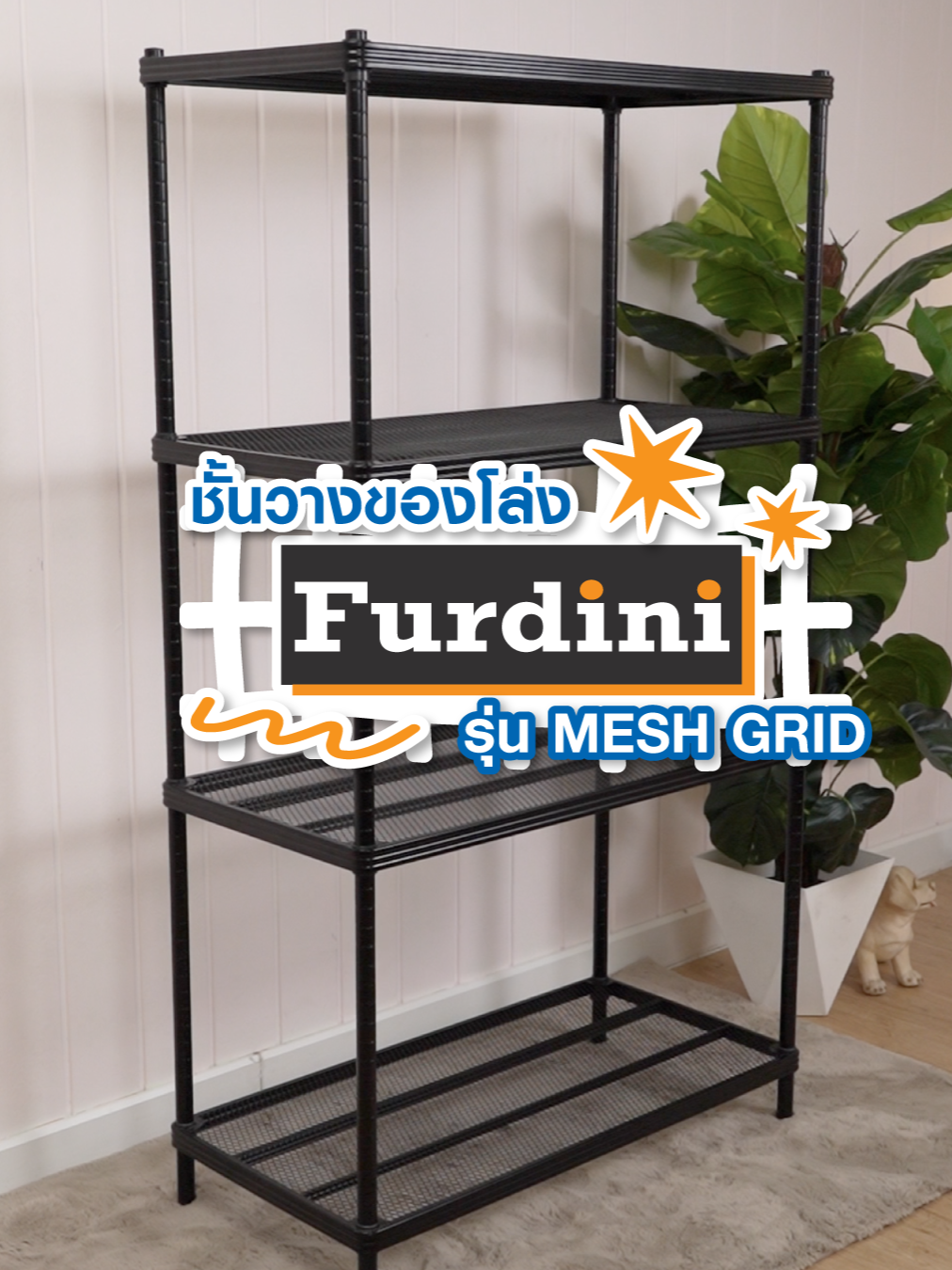 ชั้นวางของโล่ง 4 ชั้น FURDINI MESH GRID สีดำ โปร่ง ระบายอากาศดี 🍃 วางอะไรไม่อับ แข็งแรงรับน้ำหนักได้เยอะ 💪 ปรับระดับได้ตามของที่มี ใช้งานคุ้มมากก 🖤 ช้อปเลย! 🛒✨ #ชั้นเหล็ก #ชั้นวางของเหล็ก #ชั้นวางของโปร่ง #ชั้นวางของสีดำ #ชั้นตะแกรงเหล็ก #ชั้นวางแบบเปิดโล่ง #ชั้นวางของติดบ้าน #FURDINI #FURDINIMESHGRID #STACKO #ชั้นวางของ #บ้านมินิมอล #โฮมโปร #homeprothailand #betterlivingเพื่อชีวิตที่ดีกว่า #เทรนด์วันนี้tiktok #ที่คั่นหนังสือ #โต๊ะเครื่องแป้ง #โต๊ะวางของมินิมอล #โต๊ะเขียนหนังสือ #โต๊ะนั่งกินข้าว #โต๊ะกินข้าว #โต๊ะวางของ #ที่นอนขนาด3.5ฟุต #เตียงนอนขนาด6ฟุต #เตียงนอนพับได้ขนาด3.5ฟุต #ที่นอนยางพาราแท้ขนาด6ฟุต #โต๊ะเขียนหนังสือเด็ก #โต๊ะวางของในครัว
