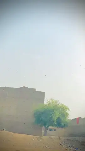 #viraltiktok #viral #viraltiktok #viraltiktok #viral 