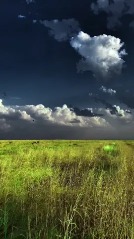 #مشاهير_تيك_توك_مشاهير_العرب #البطانة_جمال_البادية_والريف 