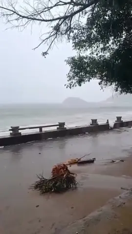 Mưa lũ miền trung