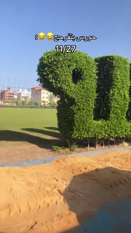 #hue #دمياط_الجديدة 