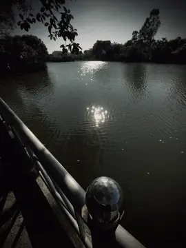 美丽的花朵终究会凋谢 如果你说你爱他们但不保留他们，爱情就会结束。