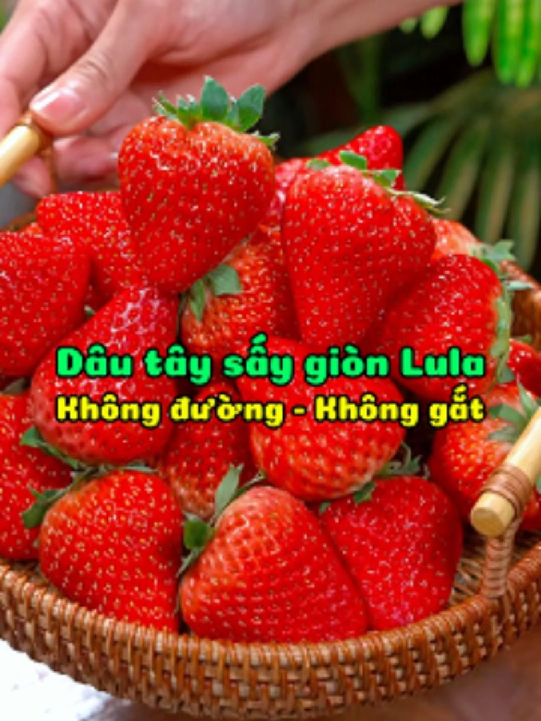 DÂU TÂY sấy giòn Lula không đường không gắt mọi người đã thử chưa #wakamono #saythanghoa #traicaysaygion #lula #hoaquasay #anvathealthy #anvat #depda #tieuhoatot #huonggiang #xuhuong #trending