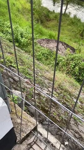 Indahnya waduk sempor #waduksempor #kebumenkeren #kebumen #fyp #promomakanharian 