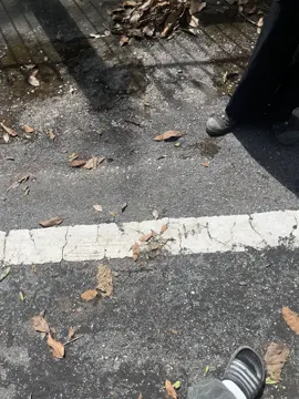 คำคมวันละคำ555#เชียงใหม่ #เปิดการมองเห็น #ฟีดดดシ #คลิปตลก 