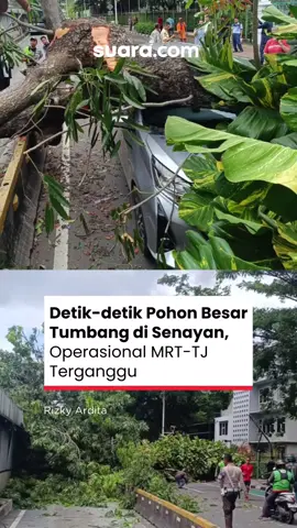 Jalur TransJakarta dari arah Blok M menuju Senayan dilaporkan sempat terputus akibat pohon besar tumbang. Namun, laporan terkini menyebutkan jalur sudah bisa dilalui kembali. Sementara itu, operasional MRT masih mengalami kendala. Jalur terbatas hanya dari Stasiun Lebak Bulus sampai Stasiun Blok M. Pihak kepolisian bersama petugas dari dinas terkait terus bekerja sama membesihkan batang pohon dari badan jalan. Akses lalu lintas dari arah Blok M menuju Bundaran Senayan sempat macet parah. Kini akses kendaraan sudah mulai bisa dilalui kembali. #pohontumbang #pohonroboh #pohon #senayan #mrt #transjakarta #tj #breaking #viral #news #suaradotcom #suara