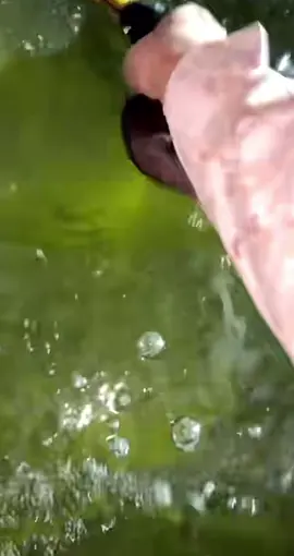 #الشعب_الصيني_ماله_حل😂😂 