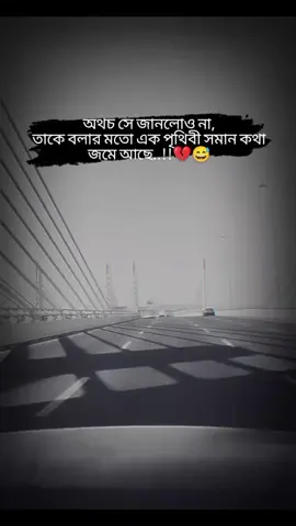 অথচ সে জানলোও না, তাকে বলার মতো এক পৃথিবী সমান কথা জমে আছে#foryou #fouryourpage #tiktokvairalvideo #trending #ইনশাআল্লাহ_যাবে_foryou_তে। 