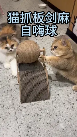 Cat scratching board, sisal ball#cat #Cat toys
