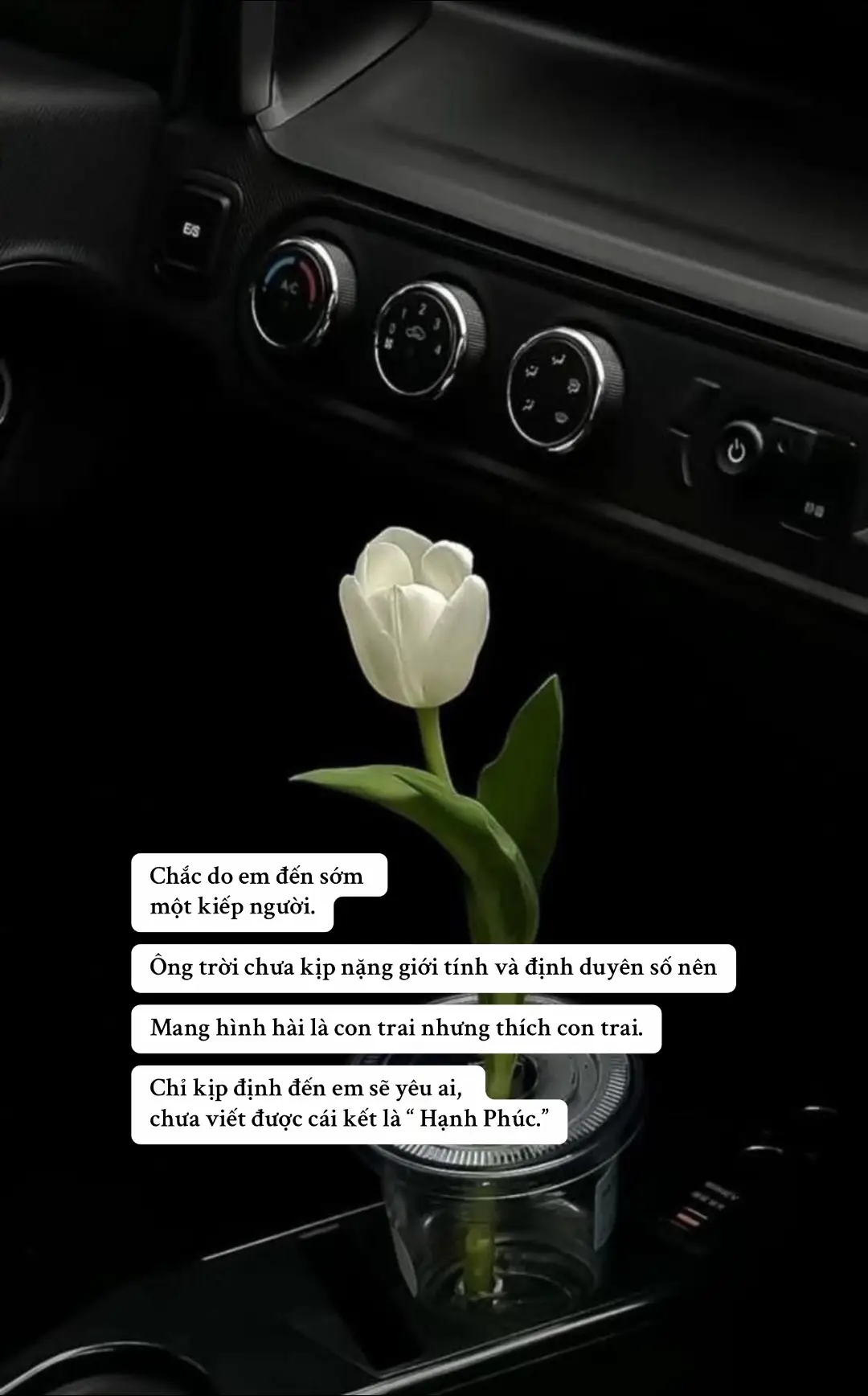 Chắc do em đến sớm  một kiếp người. Ông trời chưa kịp nặng giới tính và định duyên số nên Mang hình hài là con trai nhưng thích con trai. Chỉ kịp định đến em sẽ yêu ai,  chưa viết được cái kết là “ Hạnh Phúc.” #lgbt #xuhuong #fyppppppppppppppppppppppp #bot #boylove 