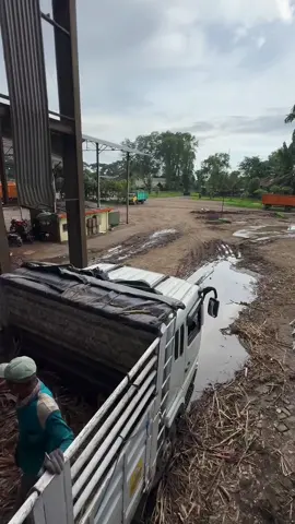 Proses muat di PG Semboro jember 